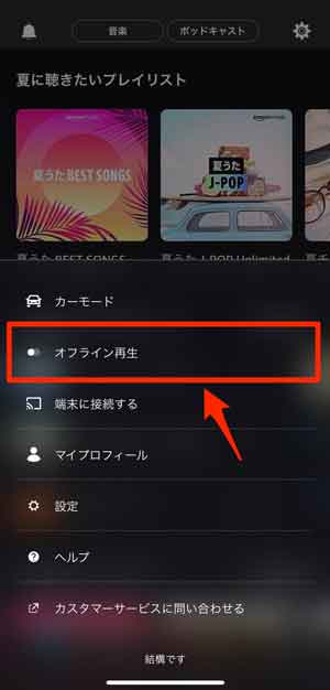 「オフライン再生」を選択している画像
