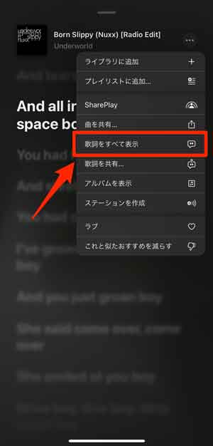 「歌詞をすべて表示」を選択している画像