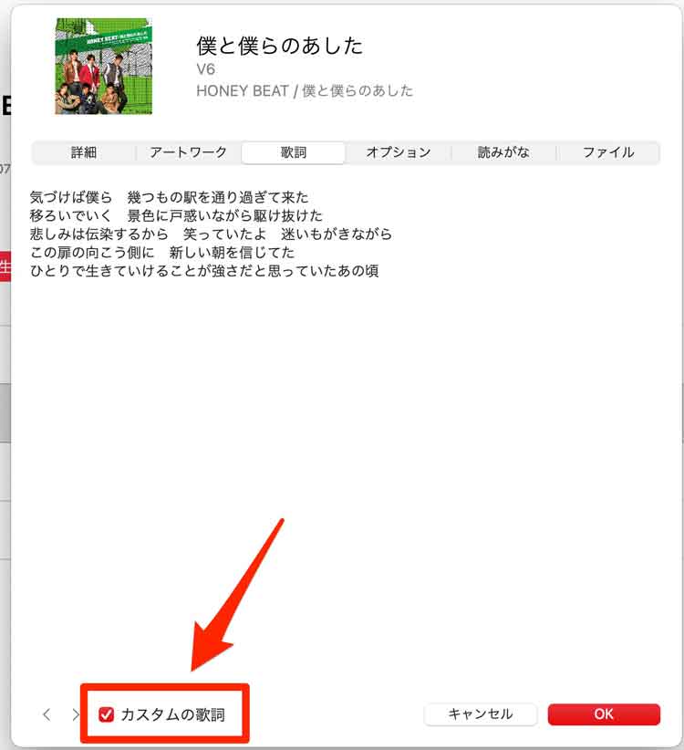 「カスタムの歌詞」を選択している画像