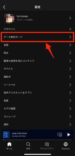 「データ節約モード」を選択している画像