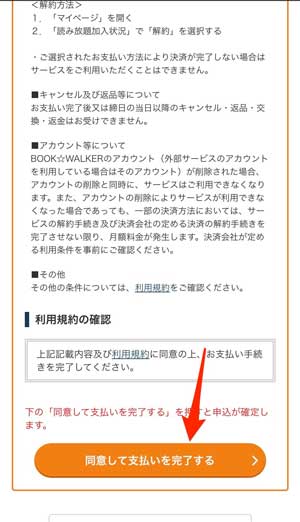 「同意して支払いを完了する」を選択している画像