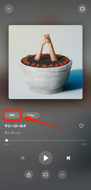 再生画面で「歌詞」を選択している画像