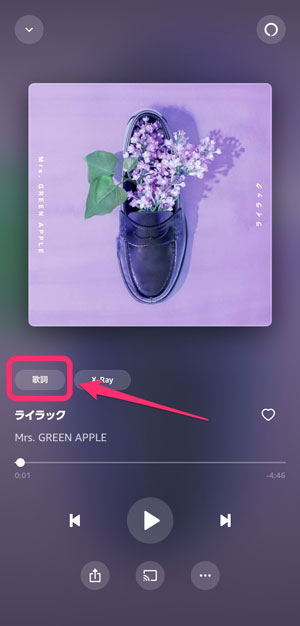 再生画面で「歌詞」を選択している画像